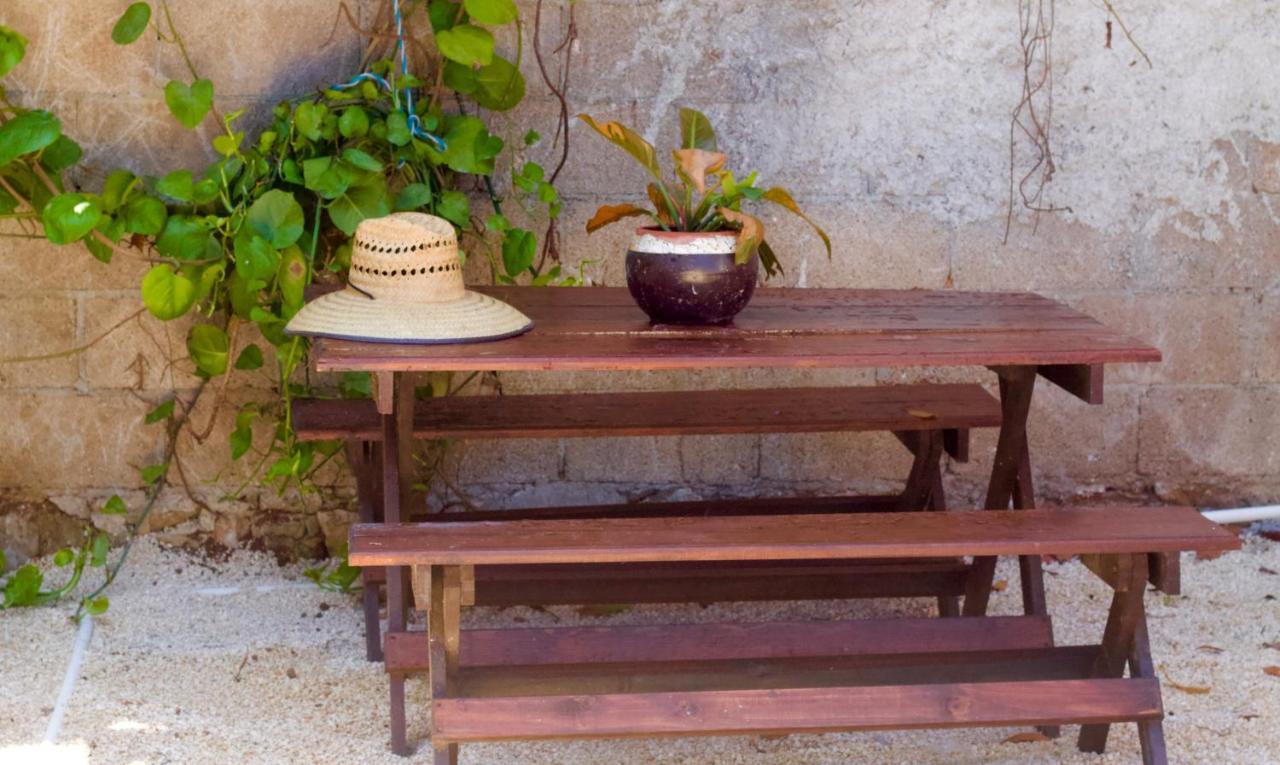 Casa Del Artista - B&B Playa del Carmen Luaran gambar